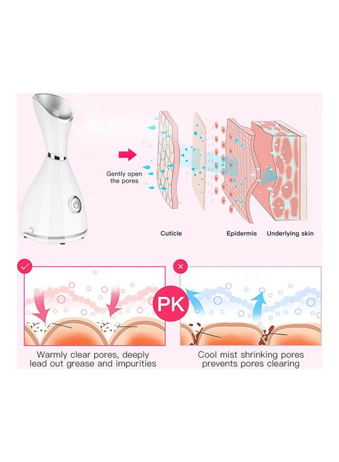 Nano Facial Steamer